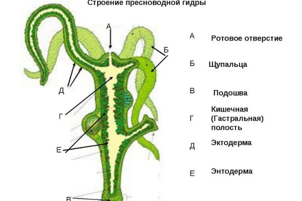 Как восстановить доступ к кракену