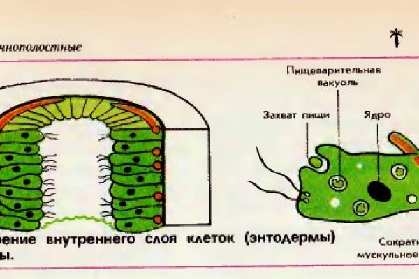 Как восстановить аккаунт на кракене